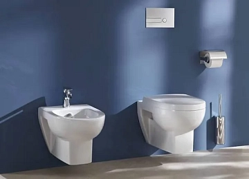 Крышка-сиденье Jacob Delafon Odeon Up 8409K с микролифтом, петли хром  - фото 5
