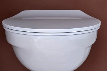 Крышка-сиденье Jacob Delafon Patio E23157-00 с микролифтом  - фото 5