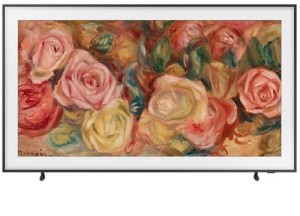 QLED телевизор 4K Ultra HD Samsung QE65LS03DAU