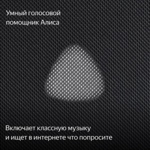 Умная колонка Яндекс Станция Макс с Zigbee YNDX-00053E черный