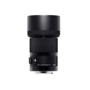 Объектив Sigma 70mm f/2.8 DG Macro Art for Sony E
