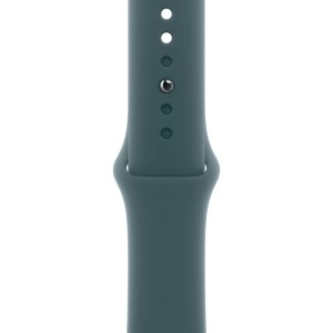 Ремешок Apple Watch 42mm Lake Green Sport Band M/L