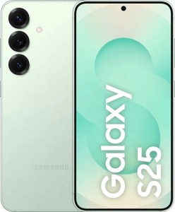 Смартфон Samsung Galaxy S25 12/256 ГБ Мятный Смартфон Samsung Galaxy S25 12/256 ГБ Мятный