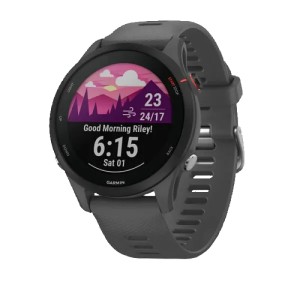 Часы Garmin Forerunner 255 Slate Gray (010-02641-10) Часы Garmin Forerunner 255 Slate Gray (010-02641-10)