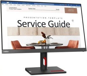 Монитор Lenovo 23.8" ThinkVision S24i-30 FHD IPS LED черный 63DEKAT3UK