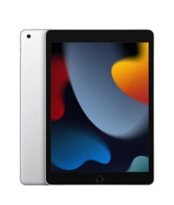 Планшет Apple iPad 10.2 (2021) Wi-Fi 256 Gb Серебристый Планшет Apple iPad 10.2 (2021) Wi-Fi 256 Gb Серебристый