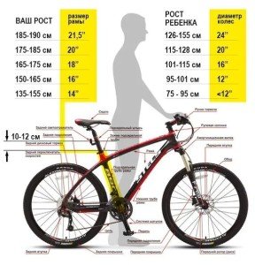 Горный велосипед STELS Navigator 900 V 29 F020 (2022) 21" черный/белый (требует финальной сборки)