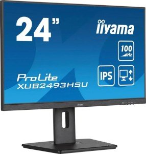 Монитор Iiyama 23.8" ProLite XUB2493HSU-B7 FHD IPS LED черный