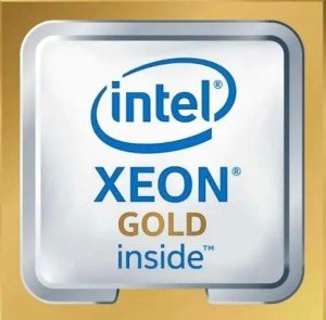 Процессор Intel Xeon 3100/35.75M S3647 OEM GOLD 6242R CD8069504449601 IN Процессор Intel Xeon 3100/35.75M S3647 OEM GOLD 6242R CD8069504449601 IN