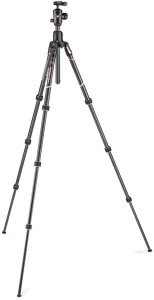 Штатив Manfrotto MKBFRC4GTXP-BH Befree GT XPRO Carbon с головой