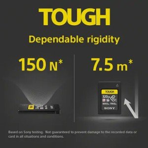 Карта памяти Sony CFexpress Type А 320GB R800/W700MB/s (CEA-G320T)