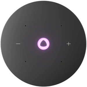 Портативная колонка Яндекс Станция Мини 3 Про с Zigbee , Серый