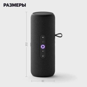 Умная портативная колонка Яндекс Станция Стрит с Алисой, чёрная, YNDX-00030BLK