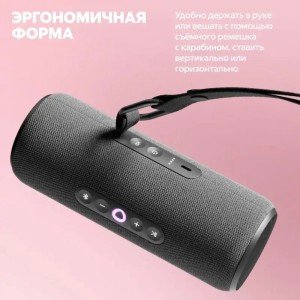 Умная портативная колонка Яндекс Станция Стрит с Алисой, чёрная, YNDX-00030BLK