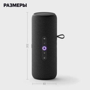 Умная портативная колонка Яндекс Станция Стрит с Алисой, чёрная, YNDX-00030BLK