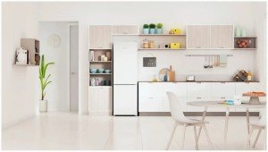 Холодильник двухкамерный Indesit ITR 4180 W