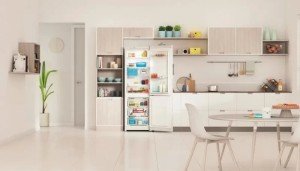 Холодильник двухкамерный Indesit ITR 4180 W