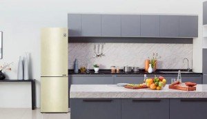 Холодильник двухкамерный LG GA-B509CECL Холодильник двухкамерный LG GA-B509CECL