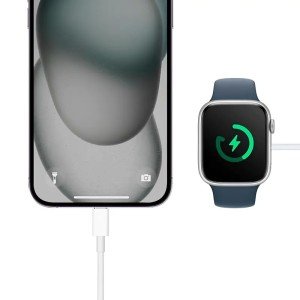 Зарядное устройтсво для Apple Watch EnergEA Bazic GoCharge Wireless chager with USB-C to AW cable 1m 