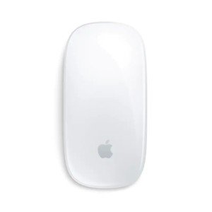 Мышь беспроводная Apple Magic Mouse (USB-C) White