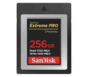 Карта памяти Sandisk Extreme Pro CFExpress Type B 256Gb 1700/1200 Mb/s
