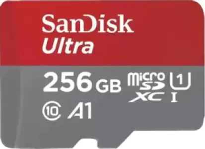 Карта памяти SanDisk Ultra Class 10 UHS-I microSDXC SDSQUAC-256G-GN6MN, 256 Гб Карта памяти SanDisk Ultra Class 10 UHS-I microSDXC SDSQUAC-256G-GN6MN, 256 Гб