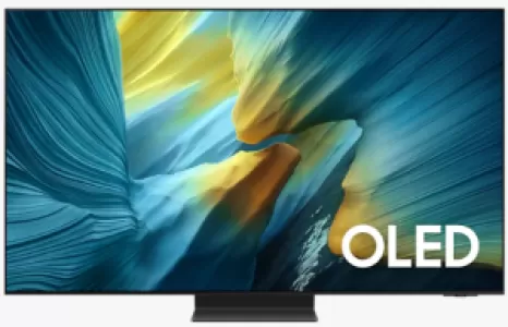 Телевизор Samsung QE55S95FAUXRU