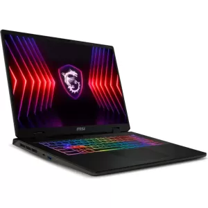 Ноутбук MSI Sword 17 HX B14VGKG-048XRU 17 QHD IPS/ i9-14900HX/16GB/1TB SSD (9S7-17T214-048) Gray