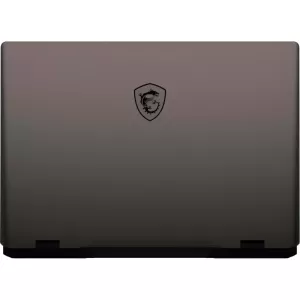 Ноутбук MSI Sword 17 HX B14VGKG-048XRU 17 QHD IPS/ i9-14900HX/16GB/1TB SSD (9S7-17T214-048) Gray