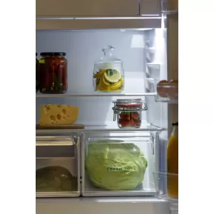 Холодильник 508 БИРЮСА Холодильник 508 БИРЮСА