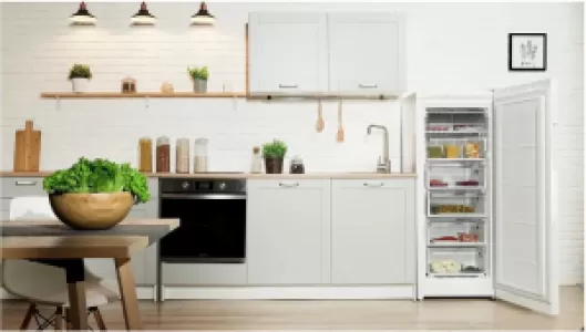 Морозильная камера Indesit DSZ 4150.1