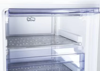 Морозильная камера Beko RFSK266T01W, белый