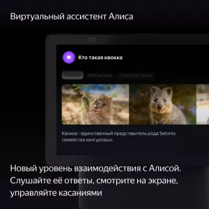 Умная колонка Яндекс Станция Дуо Макс с Алисой с Zigbee Black (YNDX-00055BLK)