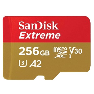 Карта памяти SanDisk Extreme microSDXC Class 10 256GB (4K) Карта памяти SanDisk Extreme microSDXC Class 10 256GB (4K)