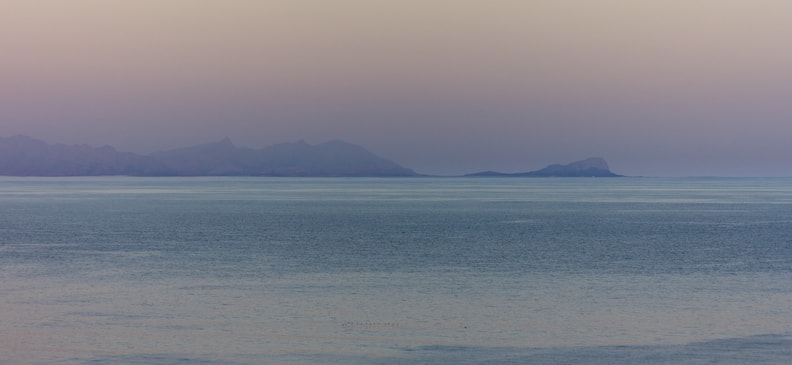 Ложный мангустан: полезные свойства и вред для здоровья. Как использовать продукт и можно ли его употреблять для похудения?