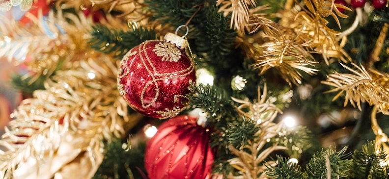 Слива Какаду: польза и вред, рекомендуемые порции и применение в рационе