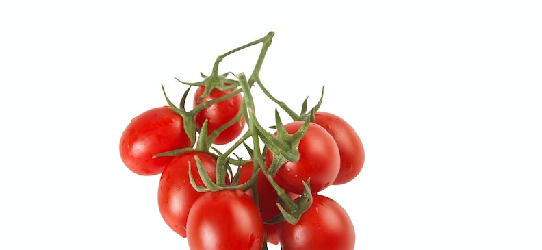 Горлянка: полезный способ лечения заболеваний горла и профилактики простуды