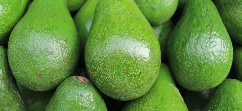 Чесночная диета (капуста, помидоры, перец, яйца): меню на 14 дней, разрешенные и запрещенные продукты, результаты и польза для похудения.