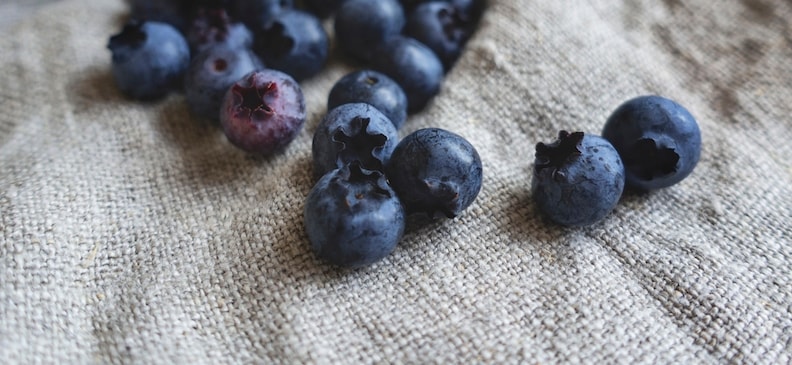 Польза и вред продукта Пуласан: как использовать его в питании и сбалансировать свой рацион