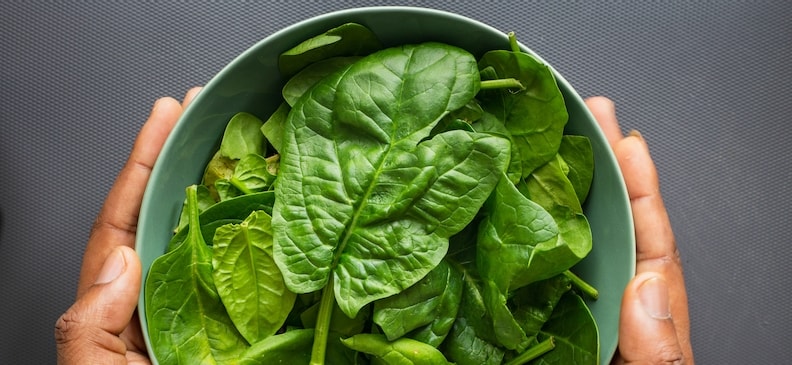Шпинат: польза и вред, правила употребления и рецепты приготовления