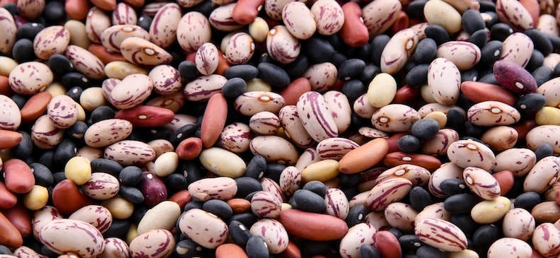 Фасоль: польза и вред, рекомендации по употреблению и рецепты блюд