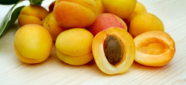 Абрикос: польза и вред, применение, рекомендации и рецепты