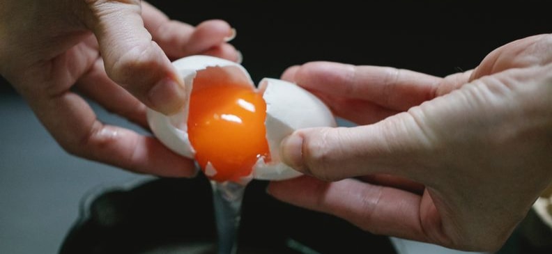 Время приема и количество белка. В каких продуктах содержится большое количество белка