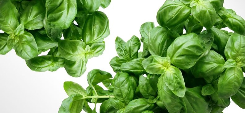 Продукты для похудения