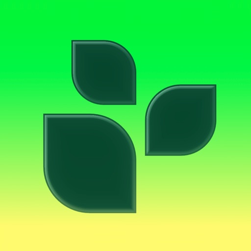 Lifesum