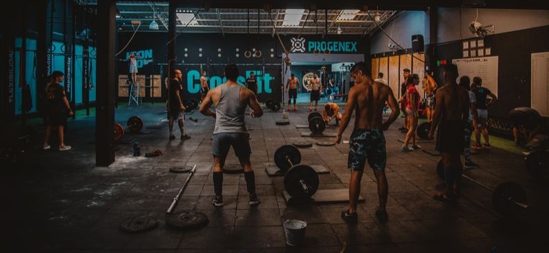 Основные мышцы верхней части тела