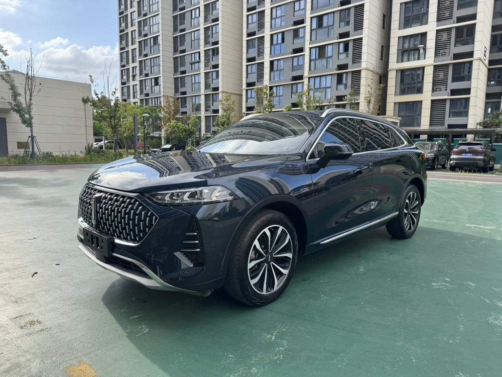Great_Wall_Motors Mocha 2021 2.0T four-wheel drive special version