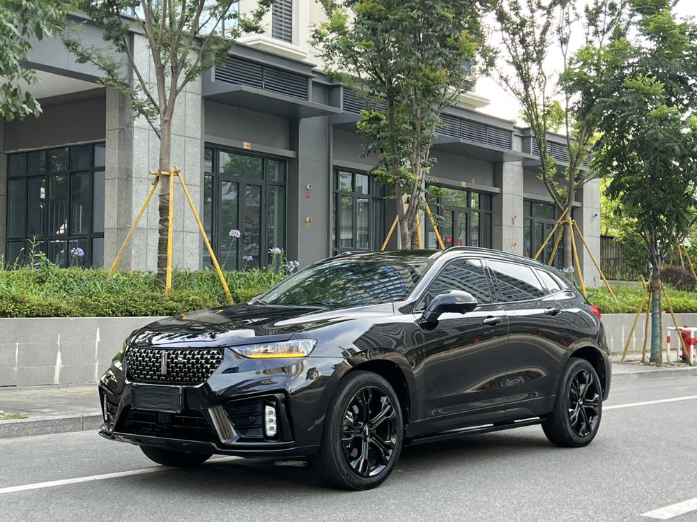 Great_Wall_Motors Wei brand VV7 2020 2.0T flagship model