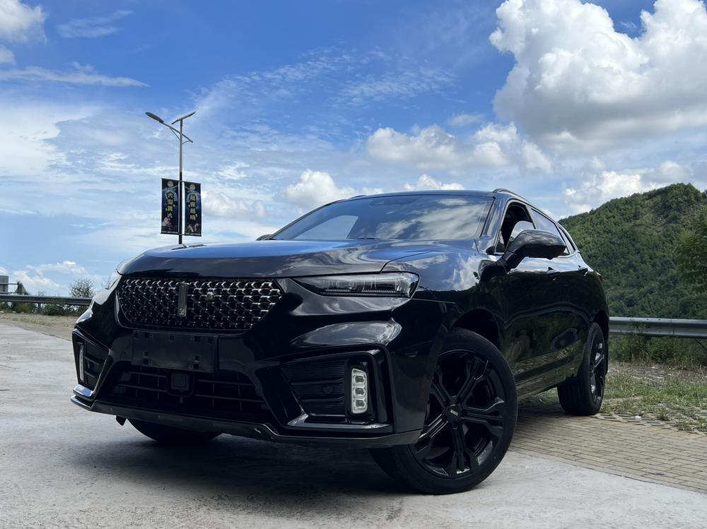 Great_Wall_Motors Wei brand VV7 2020 2.0T flagship model