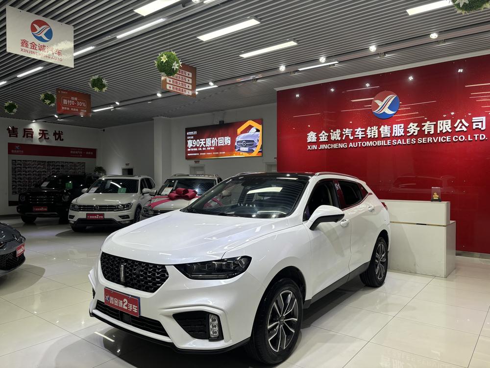 Great_Wall_Motors Wei brand VV5 2020 model 1.5T Zhipione